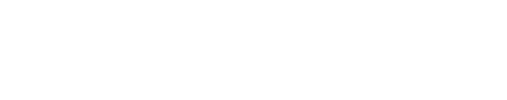 N-System Távközlési Kft. fehér logo